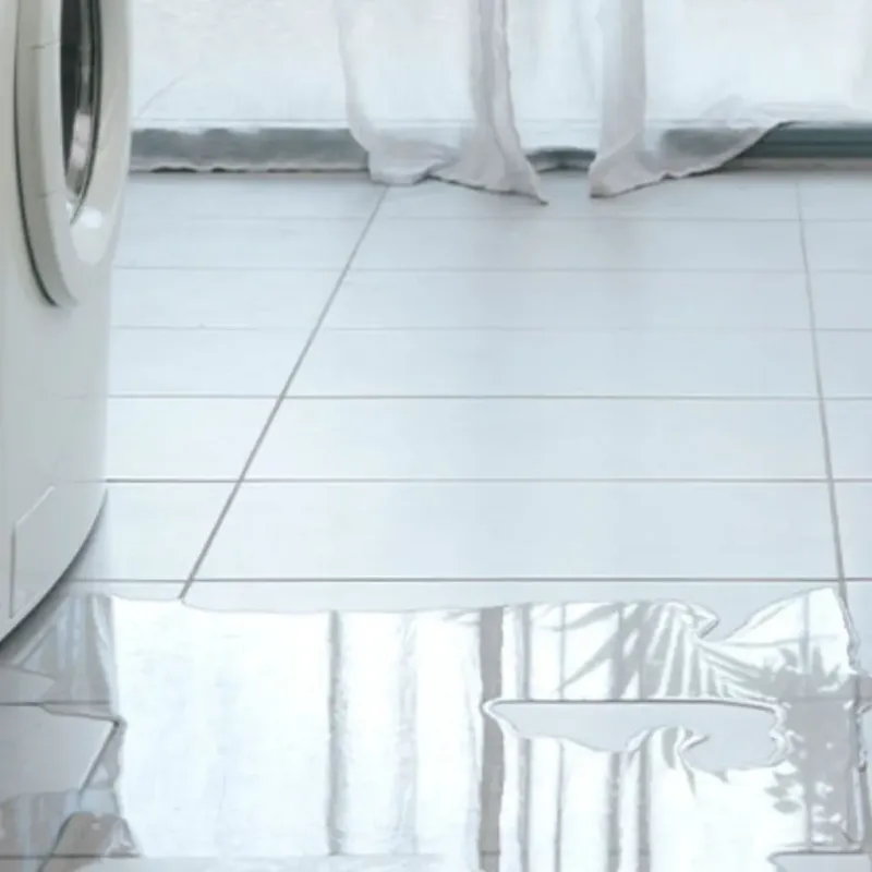 Appliance Leak Cleanup in New Kent County, VA