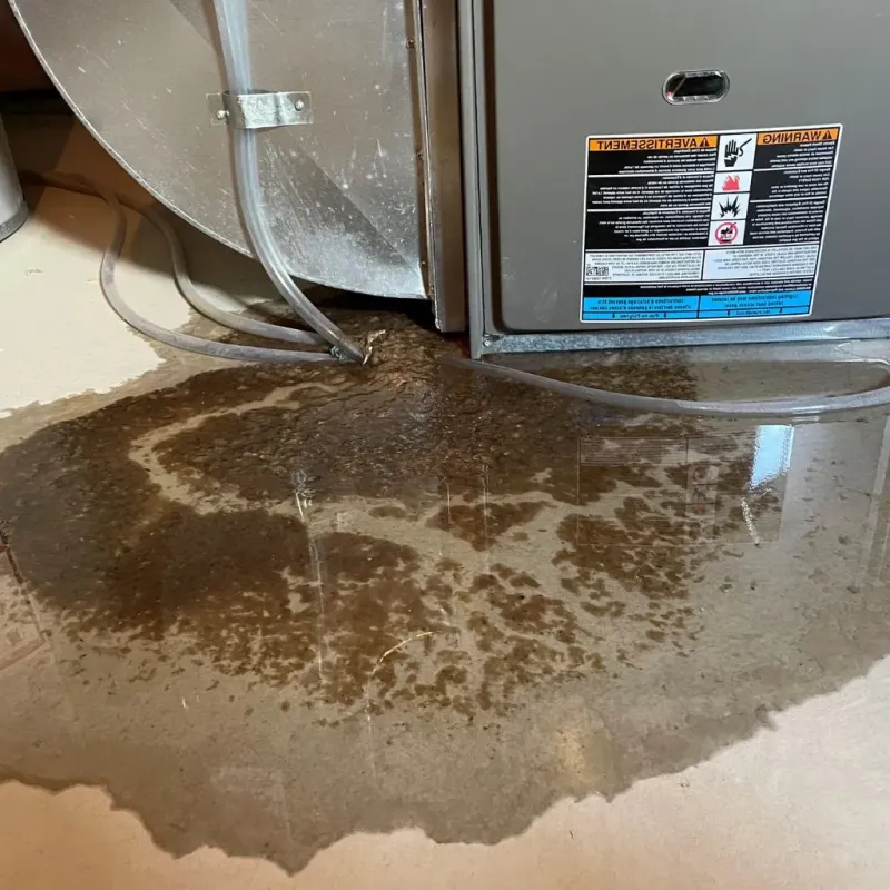 Pipe Burst and Leak Restoration in New Kent County, VA