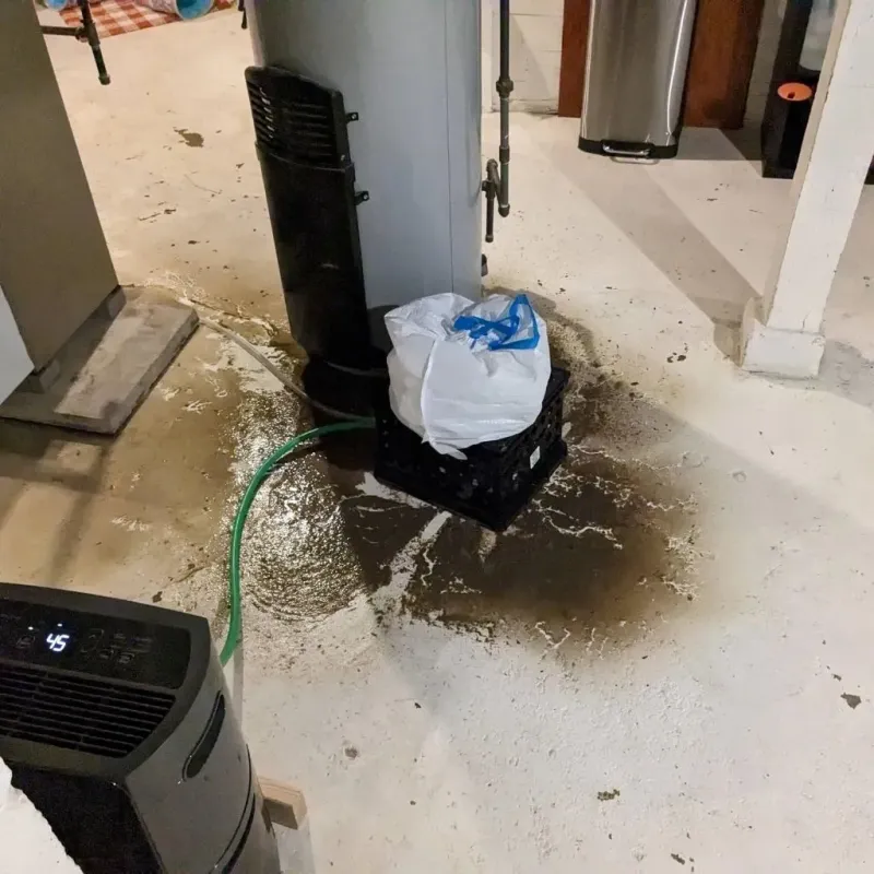 Sewage Backup Cleanup Service in New Kent County, VA